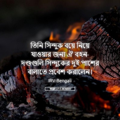 Picture 05 - যাত্ৰা 37:5 BENIRV - তিনি সিন্দুক বয়ে - Bible Verse Picture