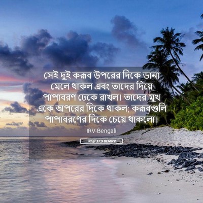 Picture 05 - যাত্ৰা 37:9 BENIRV - সেই দুই করূব উপরের - Bible Verse Picture