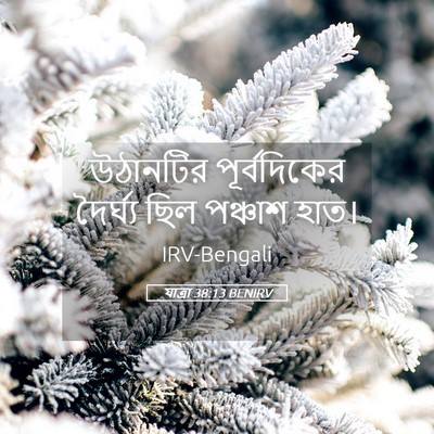 Picture 05 - যাত্ৰা 38:13 BENIRV - উঠানটির - Bible Verse Picture