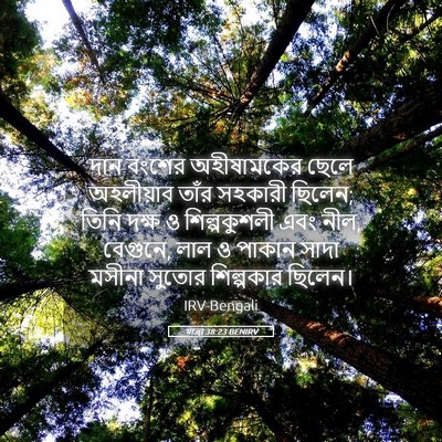 Picture 05 - যাত্ৰা 38:23 BENIRV - দান বংশের - Bible Verse Picture