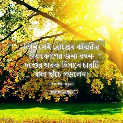 Picture 05 - যাত্ৰা 38:5 BENIRV - তিনি সেই - Bible Verse Picture