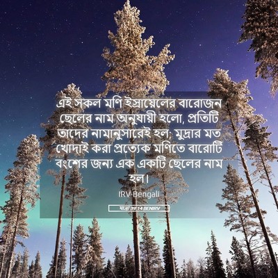 Picture 05 - যাত্ৰা 39:14 BENIRV - এই সকল মণি - Bible Verse Picture