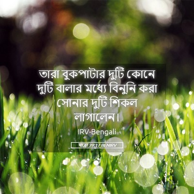 Picture 05 - যাত্ৰা 39:17 BENIRV - তারা বুকপাটার - Bible Verse Picture