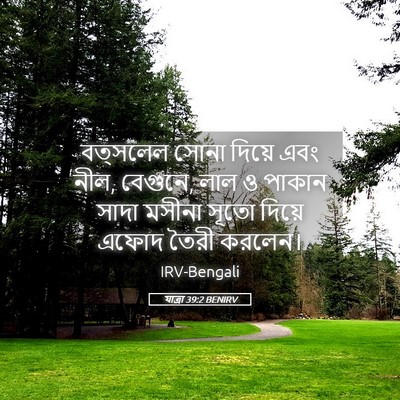 Picture 05 - যাত্ৰা 39:2 BENIRV - বত্সলেল সোনা - Bible Verse Picture