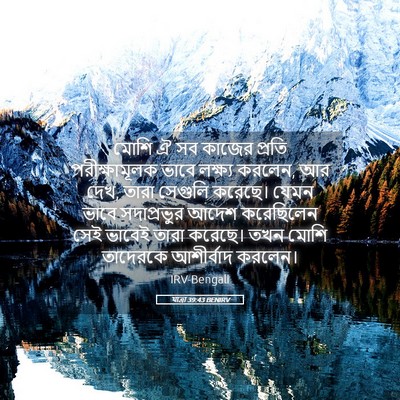 Picture 05 - যাত্ৰা 39:43 BENIRV - মোশি ঐ সব কাজের - Bible Verse Picture