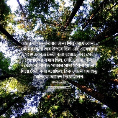 Picture 05 - যাত্ৰা 39:5 BENIRV - আর তা বন্ধ করবার - Bible Verse Picture