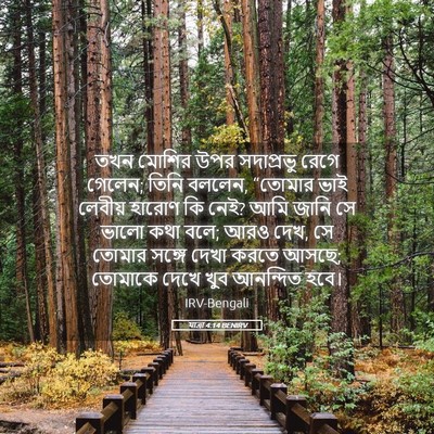 Picture 05 - যাত্ৰা 4:14 BENIRV - তখন মোশির উপর - Bible Verse Picture