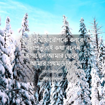Picture 05 - যাত্ৰা 4:22 BENIRV - আর তুমি ফরৌণকে - Bible Verse Picture