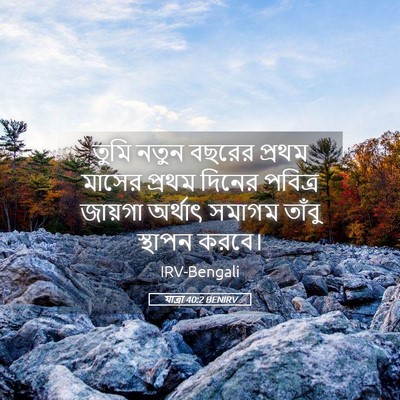Picture 05 - যাত্ৰা 40:2 BENIRV - তুমি নতুন বছরের - Bible Verse Picture