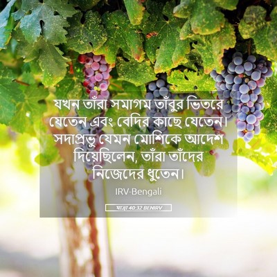 Picture 05 - যাত্ৰা 40:32 BENIRV - যখন তাঁরা সমাগম - Bible Verse Picture