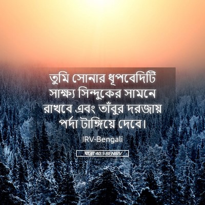 Picture 05 - যাত্ৰা 40:5 BENIRV - তুমি সোনার - Bible Verse Picture