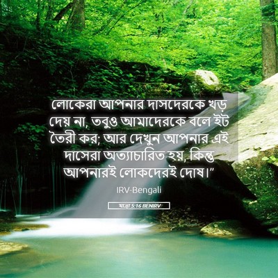 Picture 05 - যাত্ৰা 5:16 BENIRV - লোকেরা আপনার - Bible Verse Picture