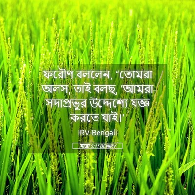 Picture 05 - যাত্ৰা 5:17 BENIRV - ফরৌণ বললেন, “তোমরা - Bible Verse Picture