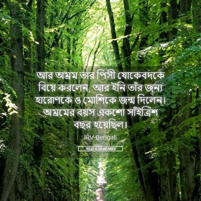 Picture 05 - যাত্ৰা 6:20 BENIRV - আর অম্রম তার পিসী - Bible Verse Picture