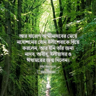 Picture 05 - যাত্ৰা 6:23 BENIRV - আর হারোণ - Bible Verse Picture
