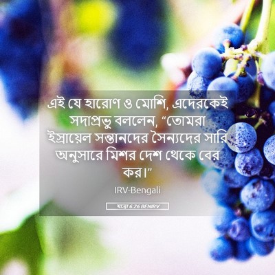 Picture 05 - যাত্ৰা 6:26 BENIRV - এই যে হারোণ ও মোশি, - Bible Verse Picture