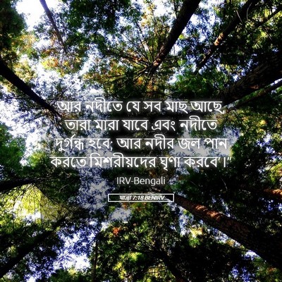Picture 05 - যাত্ৰা 7:18 BENIRV - আর নদীতে যে সব মাছ - Bible Verse Picture