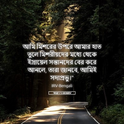 Picture 05 - যাত্ৰা 7:5 BENIRV - আমি মিশরের উপরে - Bible Verse Picture
