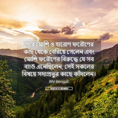 Picture 05 - যাত্ৰা 8:12 BENIRV - পরে মোশি ও হারোণ - Bible Verse Picture