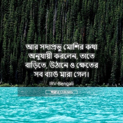Picture 05 - যাত্ৰা 8:13 BENIRV - আর সদাপ্রভু মোশির - Bible Verse Picture