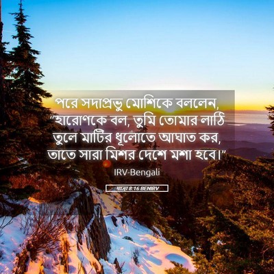 Picture 05 - যাত্ৰা 8:16 BENIRV - পরে সদাপ্রভু - Bible Verse Picture