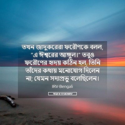 Picture 05 - যাত্ৰা 8:19 BENIRV - তখন জাদুকরেরা - Bible Verse Picture