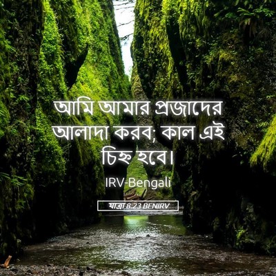 Picture 05 - যাত্ৰা 8:23 BENIRV - আমি আমার প্রজাদের - Bible Verse Picture