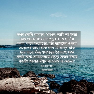 Picture 05 - যাত্ৰা 8:29 BENIRV - তখন মোশি বললেন, - Bible Verse Picture