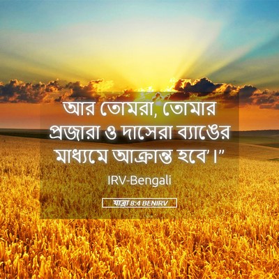 Picture 05 - যাত্ৰা 8:4 BENIRV - আর তোমরা, তোমার - Bible Verse Picture