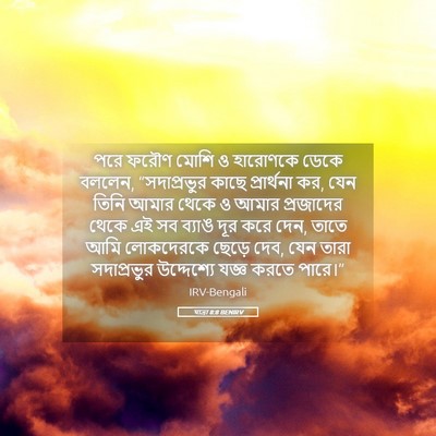 Picture 05 - যাত্ৰা 8:8 BENIRV - পরে ফরৌণ মোশি ও - Bible Verse Picture