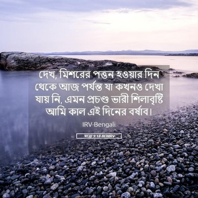 Picture 05 - যাত্ৰা 9:18 BENIRV - দেখ, মিশরের পত্তন - Bible Verse Picture