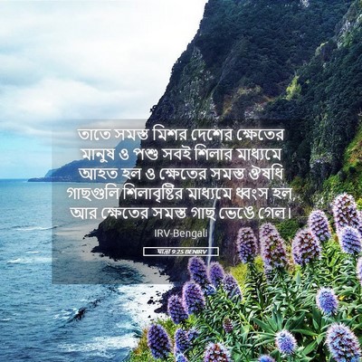 Picture 05 - যাত্ৰা 9:25 BENIRV - তাতে সমস্ত মিশর - Bible Verse Picture