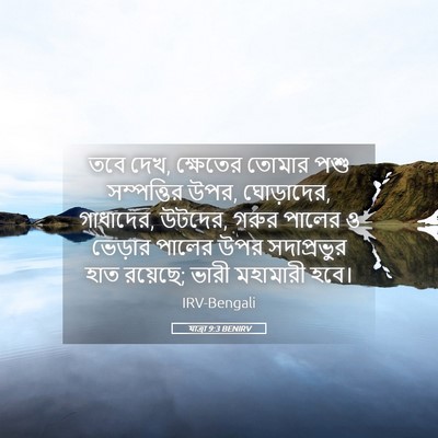 Picture 05 - যাত্ৰা 9:3 BENIRV - তবে দেখ, ক্ষেতের - Bible Verse Picture