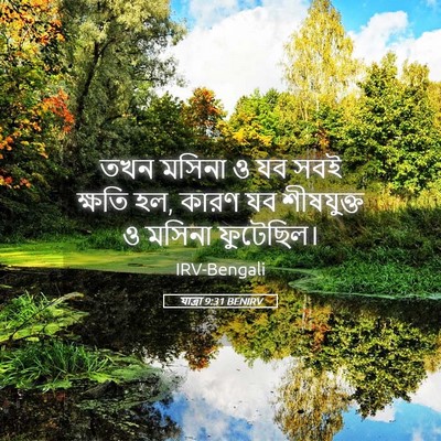 Picture 05 - যাত্ৰা 9:31 BENIRV - তখন মসিনা ও যব সবই - Bible Verse Picture