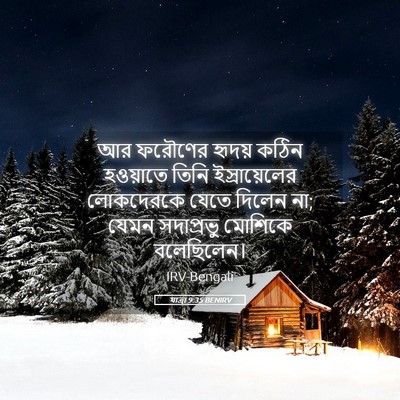 Picture 05 - যাত্ৰা 9:35 BENIRV - আর ফরৌণের হৃদয় - Bible Verse Picture