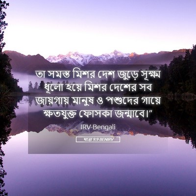 Picture 05 - যাত্ৰা 9:9 BENIRV - তা সমস্ত মিশর দেশ - Bible Verse Picture