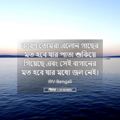 Picture 05 - যিচয়া 1:30 BENIRV - কারণ তোমরা এলোন - Bible Verse Picture