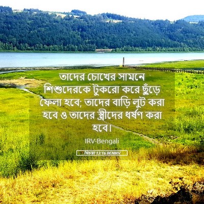 Picture 05 - যিচয়া 13:16 BENIRV - তাদের চোখের সামনে - Bible Verse Picture