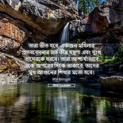 Picture 05 - যিচয়া 13:8 BENIRV - তারা ভীত হবে, একজন - Bible Verse Picture