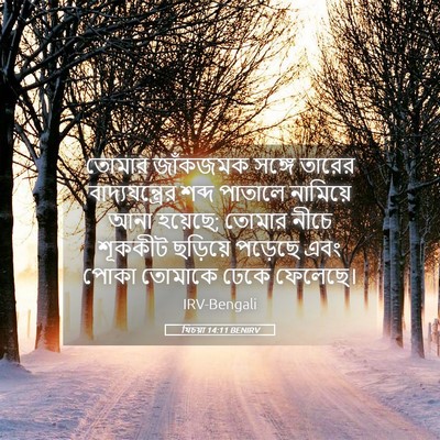 Picture 05 - যিচয়া 14:11 BENIRV - তোমার জাঁকজমক - Bible Verse Picture