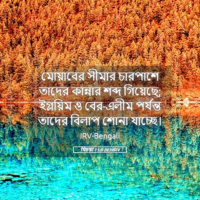 Picture 05 - যিচয়া 15:8 BENIRV - মোয়াবের সীমার - Bible Verse Picture