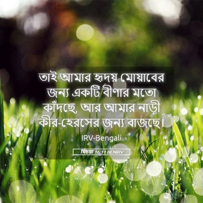 Picture 05 - যিচয়া 16:11 BENIRV - তাই আমার হৃদয় - Bible Verse Picture