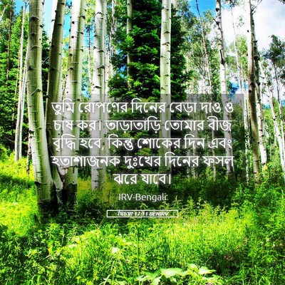 Picture 05 - যিচয়া 17:11 BENIRV - তুমি রোপণের দিনের - Bible Verse Picture