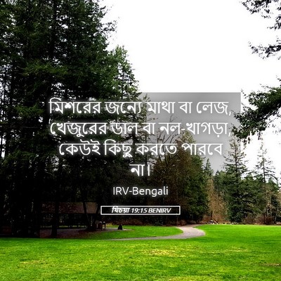 Picture 05 - যিচয়া 19:15 BENIRV - মিশরের জন্যে মাথা - Bible Verse Picture