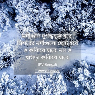 Picture 05 - যিচয়া 19:6 BENIRV - নদীগুলি - Bible Verse Picture