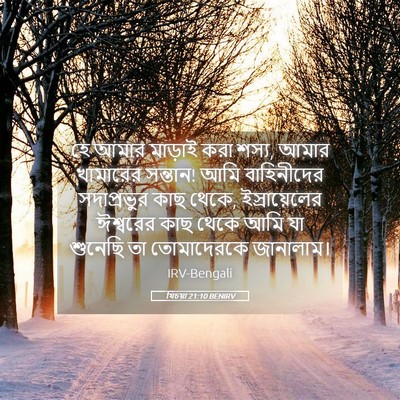 Picture 05 - যিচয়া 21:10 BENIRV - হে আমার মাড়াই করা - Bible Verse Picture