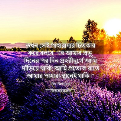 Picture 05 - যিচয়া 21:8 BENIRV - তখন সেই পাহারাদার - Bible Verse Picture