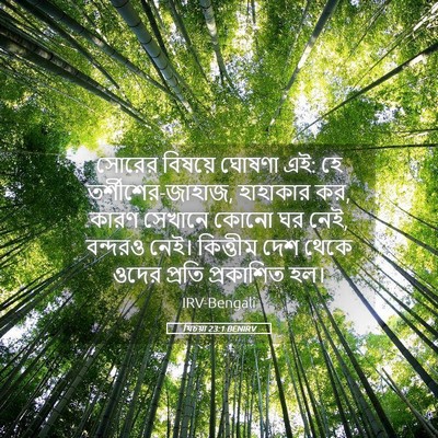 Picture 05 - যিচয়া 23:1 BENIRV - সোরের বিষয়ে - Bible Verse Picture