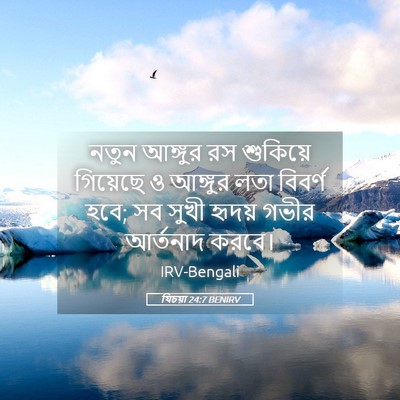 Picture 05 - যিচয়া 24:7 BENIRV - নতুন আঙ্গুর রস - Bible Verse Picture