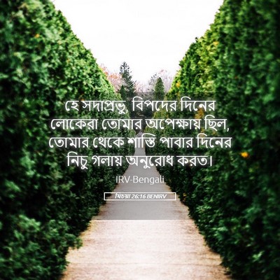 Picture 05 - যিচয়া 26:16 BENIRV - হে সদাপ্রভু, - Bible Verse Picture